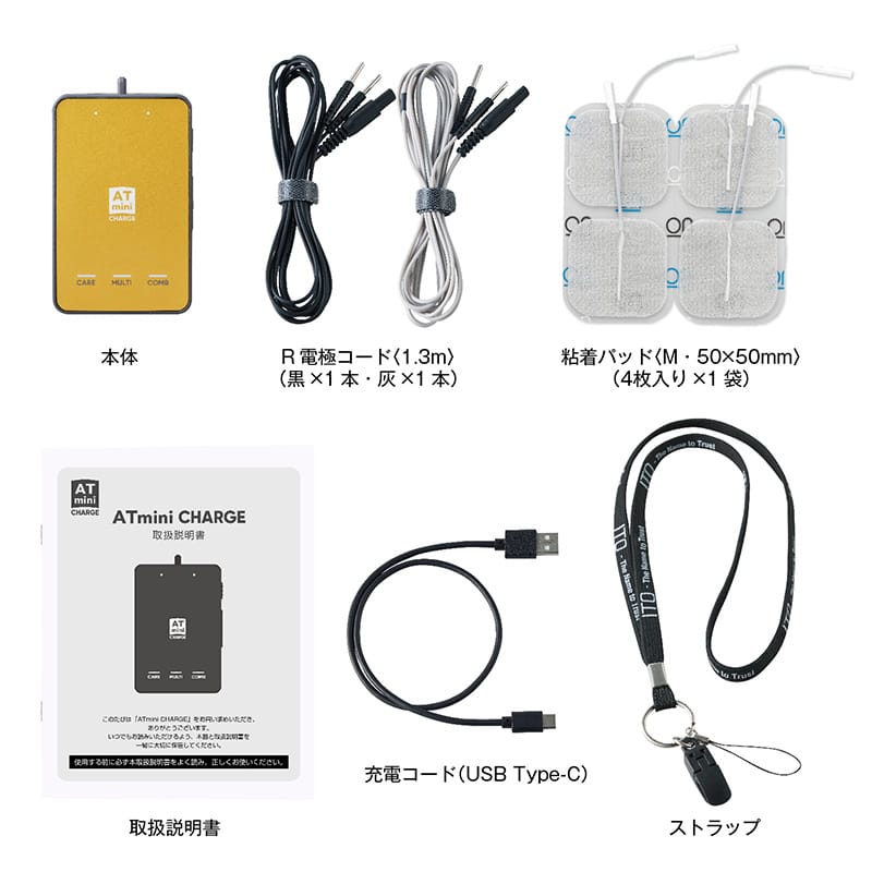 ATmini CHARGE